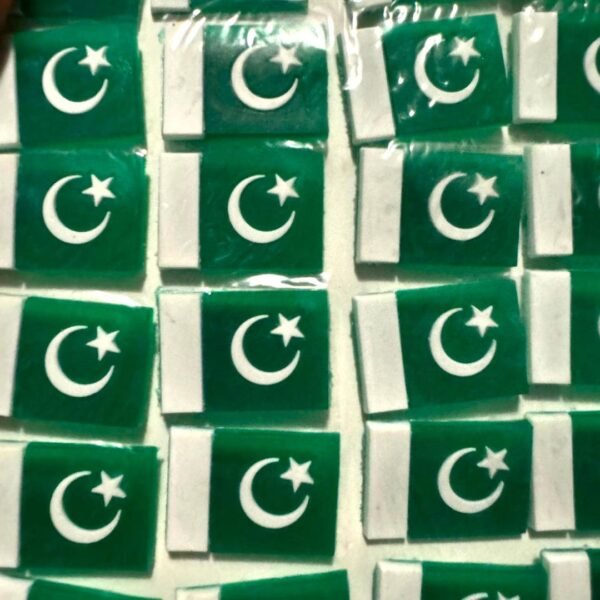 Pakistan Flag Plastic