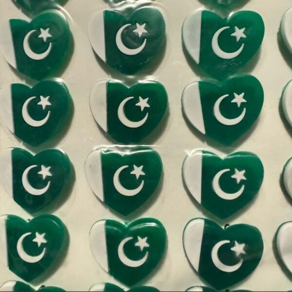 Pakistan Flag Plastic Badge