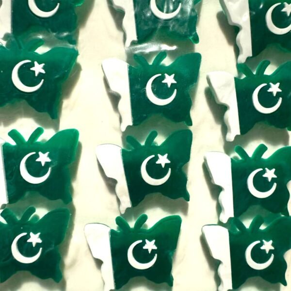 Pakistan Flag Plastic Badge